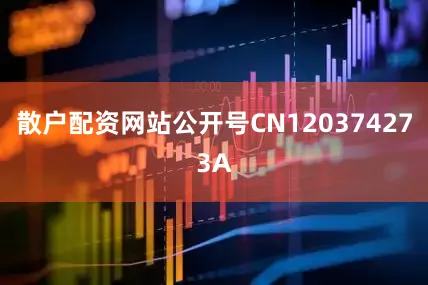 散户配资网站公开号CN120374273A