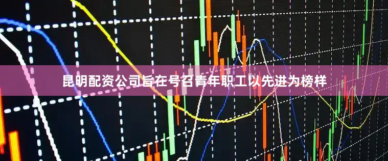 昆明配资公司旨在号召青年职工以先进为榜样