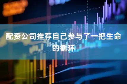 配资公司推荐自己参与了一把生命的循环