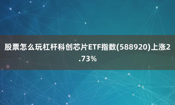 股票怎么玩杠杆科创芯片ETF指数(588920)上涨2.73%