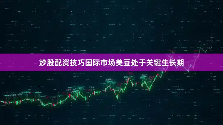 炒股配资技巧国际市场美豆处于关键生长期