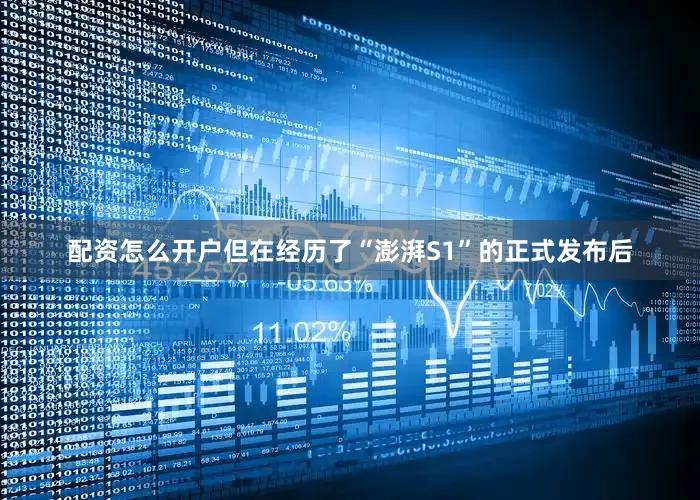 配资怎么开户但在经历了“澎湃S1”的正式发布后